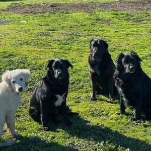 Meet your Posher, Caroline